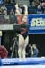 08SEC6D_0494_CourtneyM
