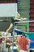 08NCAAPK_4919