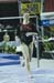 08NCAA1S1D_0034
