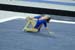 08NCAA1S5K_5158