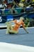 08NCAAID_3570